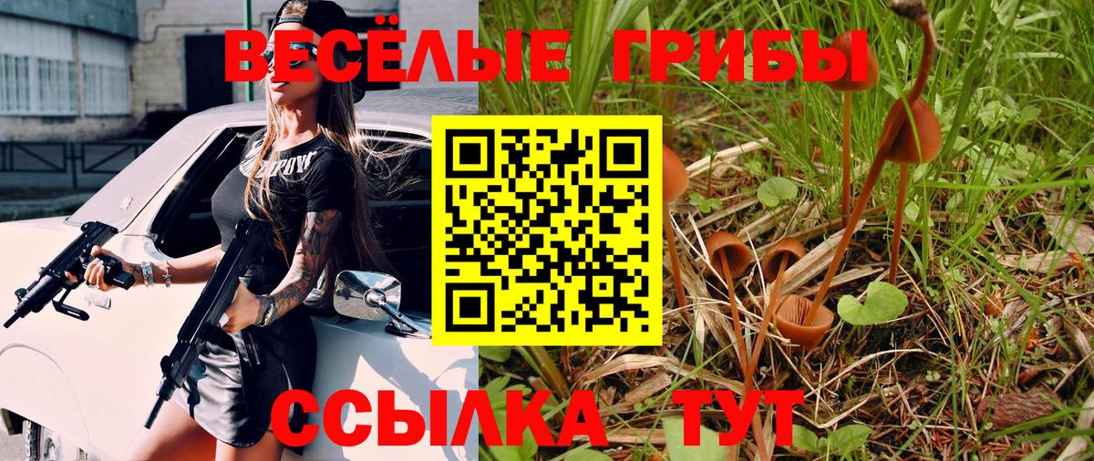 Галлюциногенные грибы прущие грибы  Галлюциногенные грибы Psilocybe  Вход с VPN  купить наркотики цена  Семёнов 