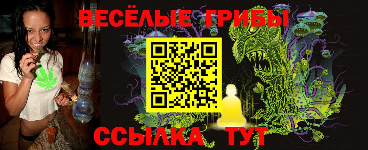 Псилоцибиновые грибы Psilocybe Семёнов